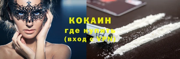 шишки Дмитровск