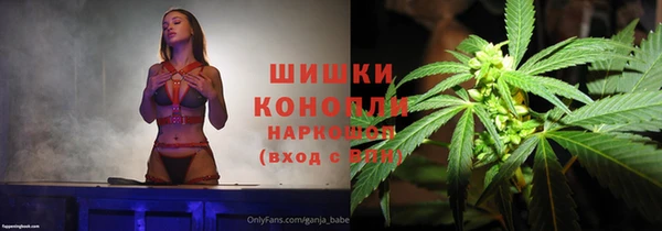 шишки Дмитровск