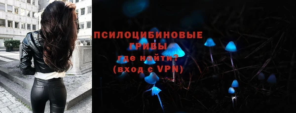 трава Усинск
