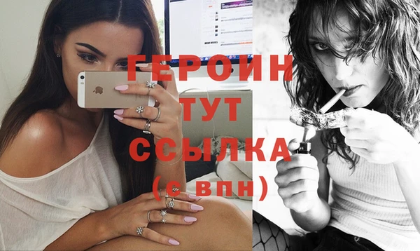 шишки Дмитровск